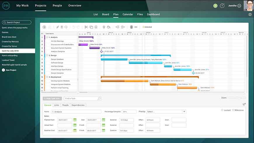 Software Project Manager