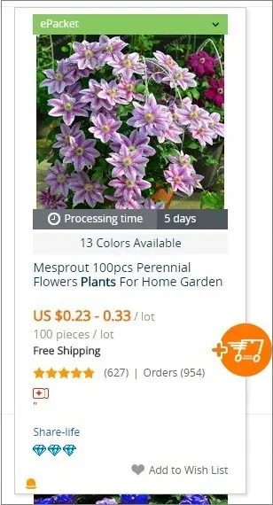 prodotto dropshipping campione epacket