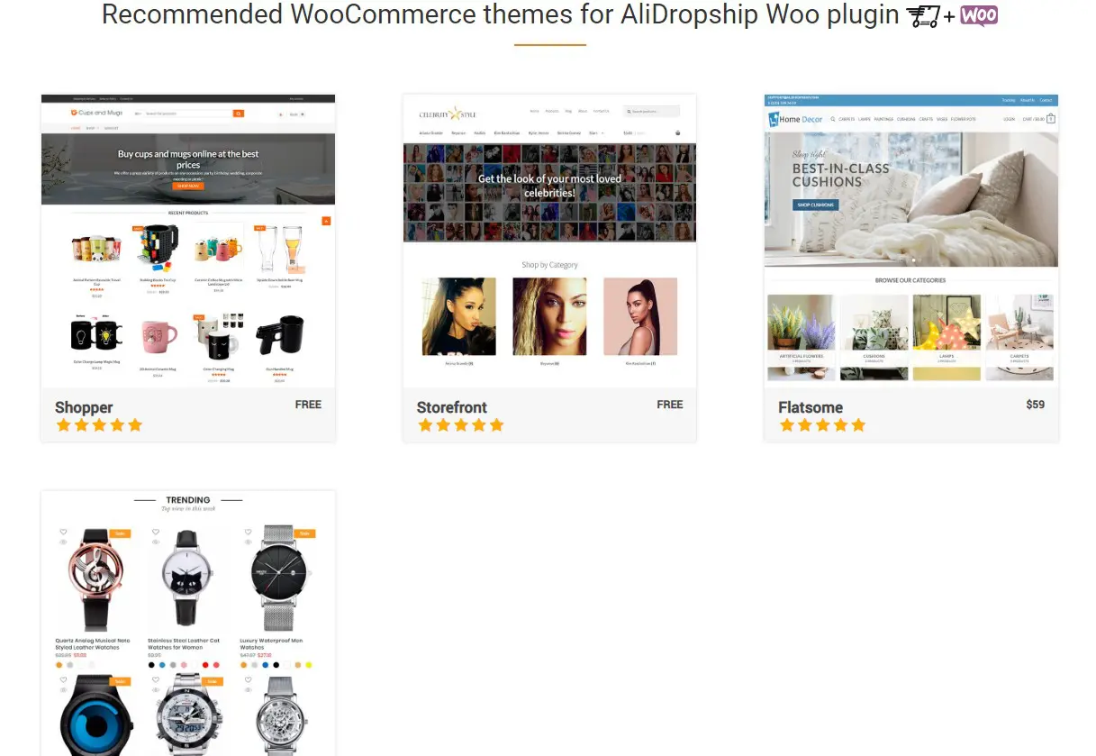 tema woocommerce consigliato per il plugin alidropship woo