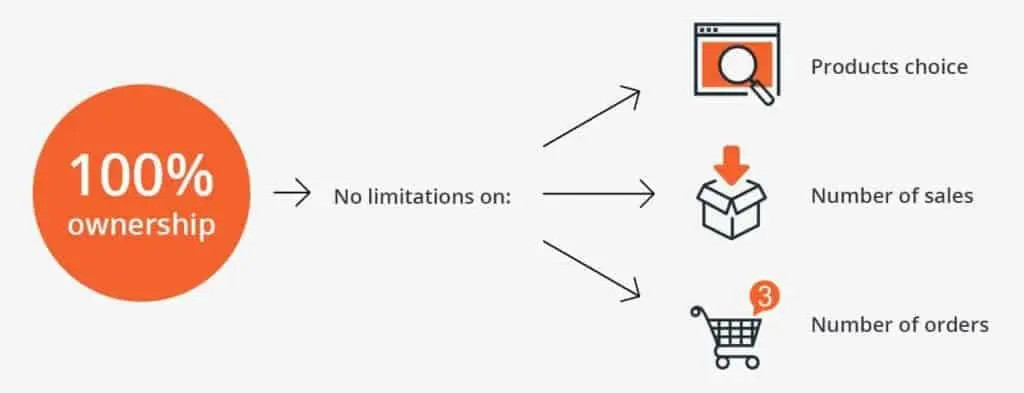 完全な所有権を保存する