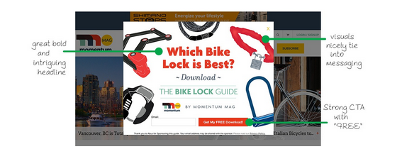 门控内容 Momentum Mag