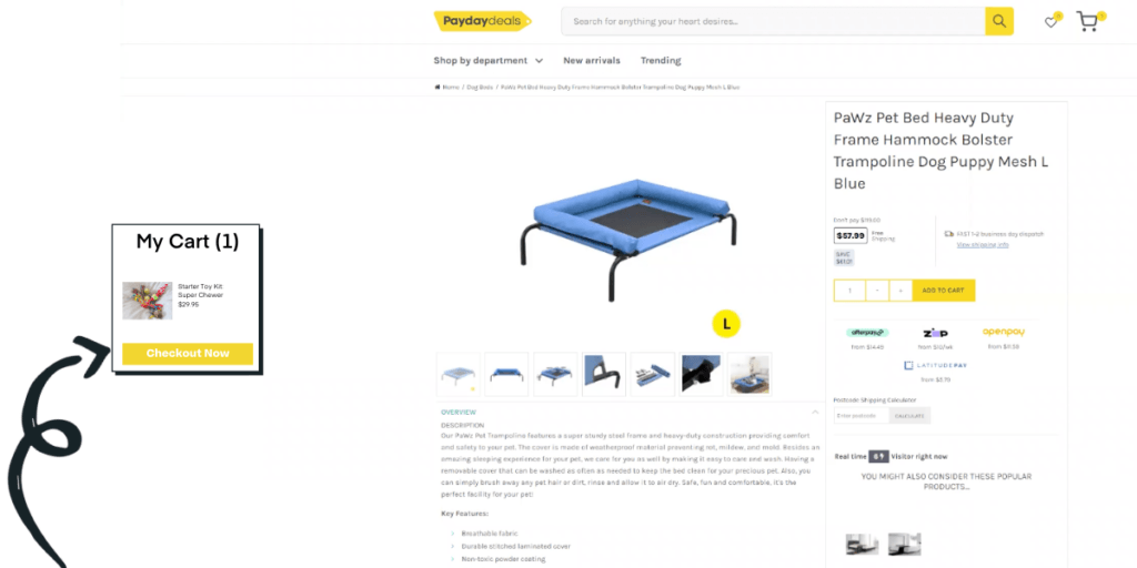 restituire la cura degli animali domestici abbandonati