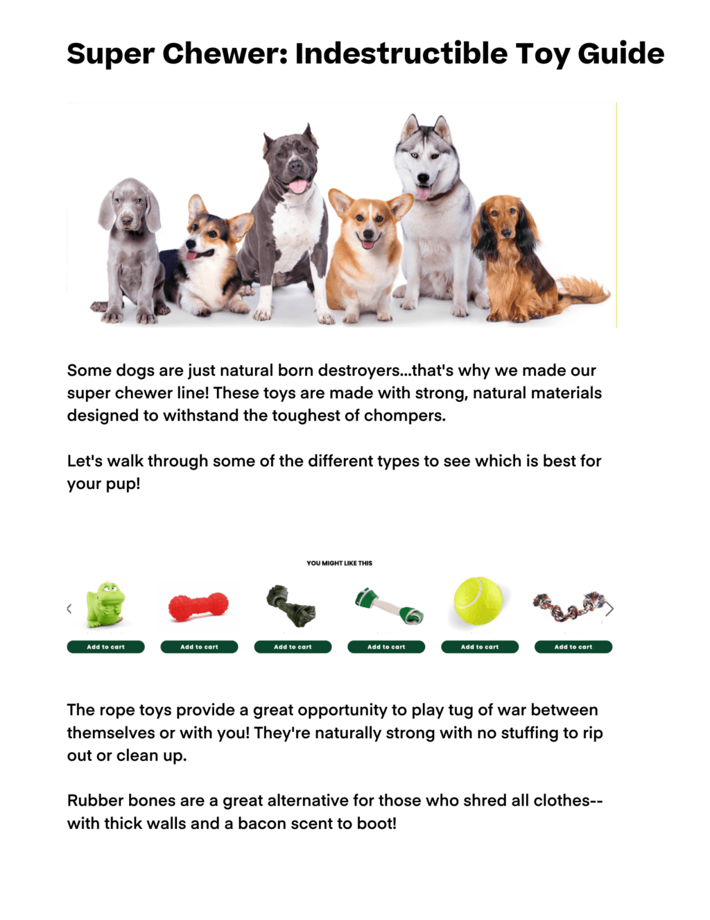 consigli sui prodotti del blog per la cura degli animali domestici