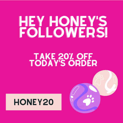 Targeting UTM di influencer marketing