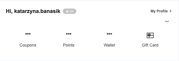 ภาพรวมพอร์ทัลลูกค้า Shein 1