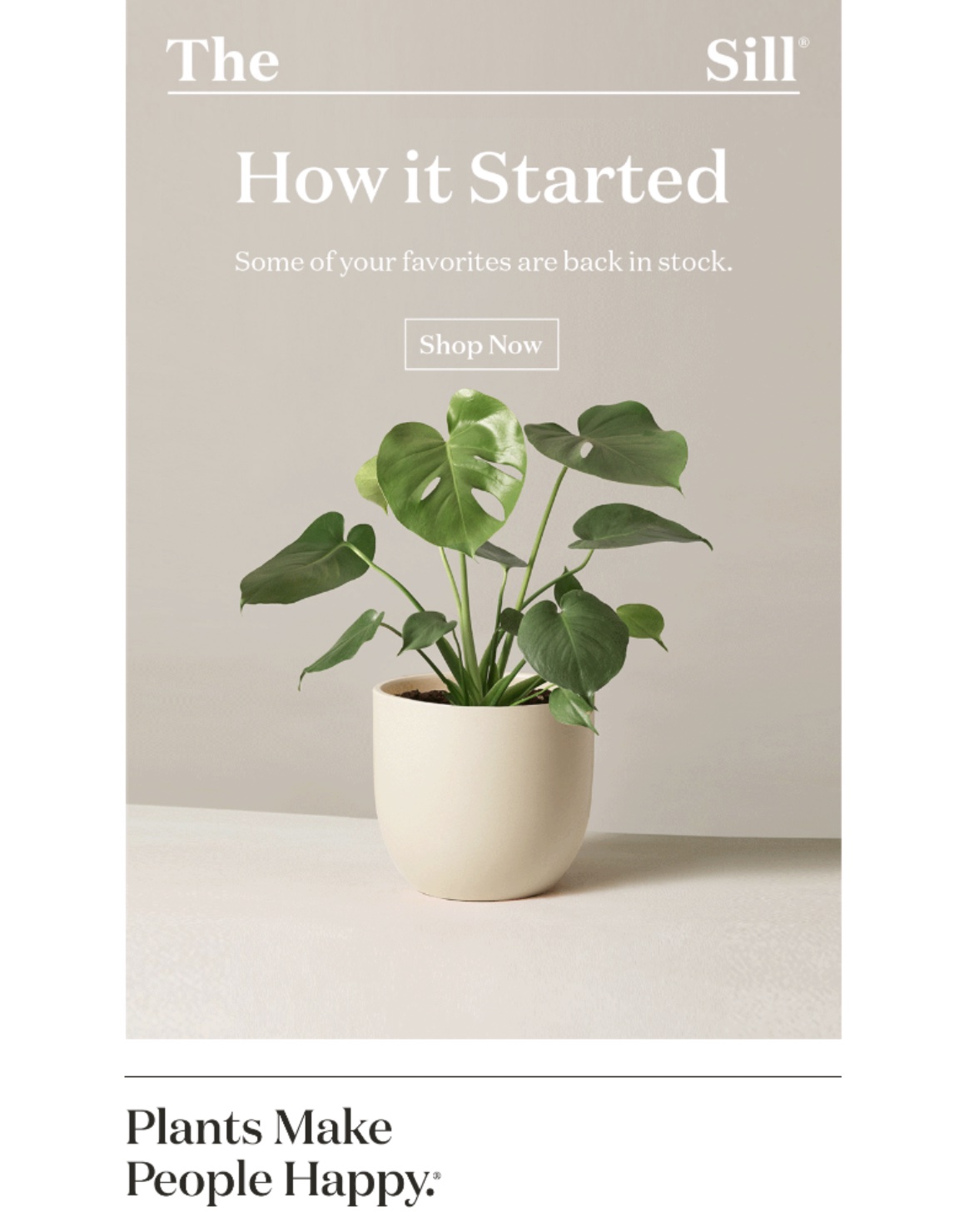 Un exemple de communication avec les abonnés – une newsletter de retour en stock par The Sill