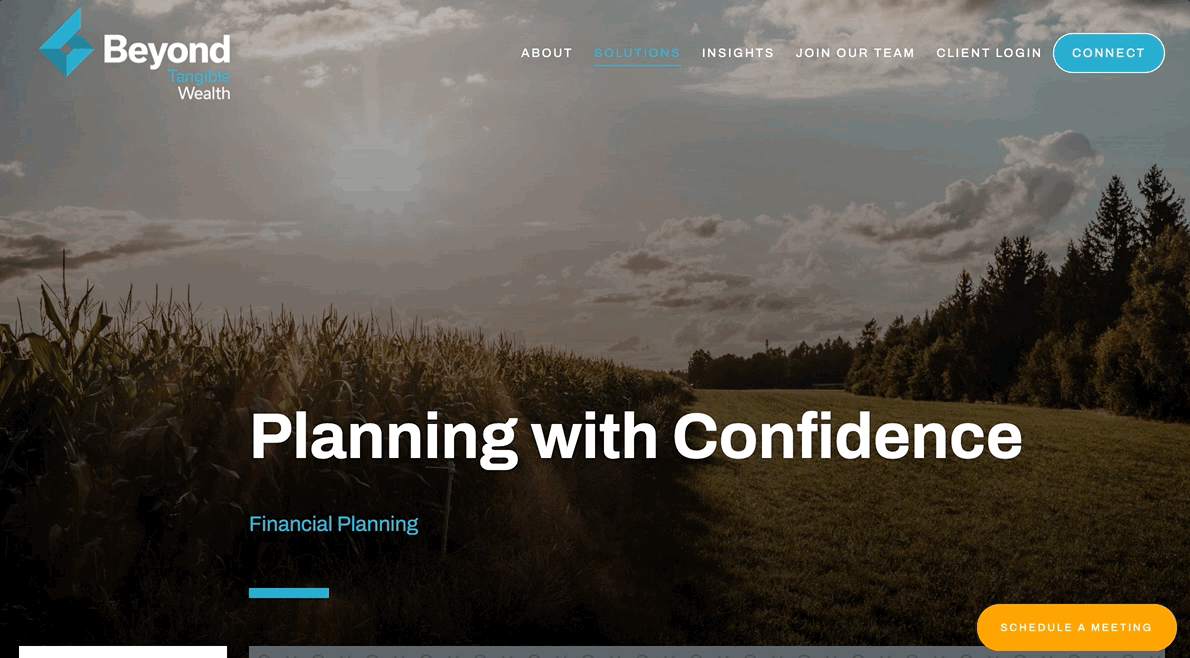 Perencanaan Keuangan Wealth Management