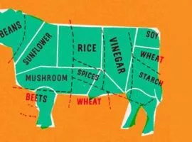 يتكون لحم البقر ، في وقت نباتي ، من فول الصويا والأرز والتوابل والبطاطس وغير ذلك.