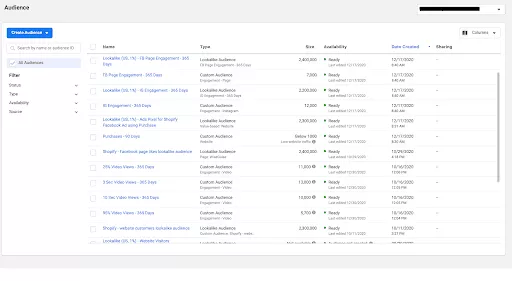 Facebook Ads Mistakes Audiences