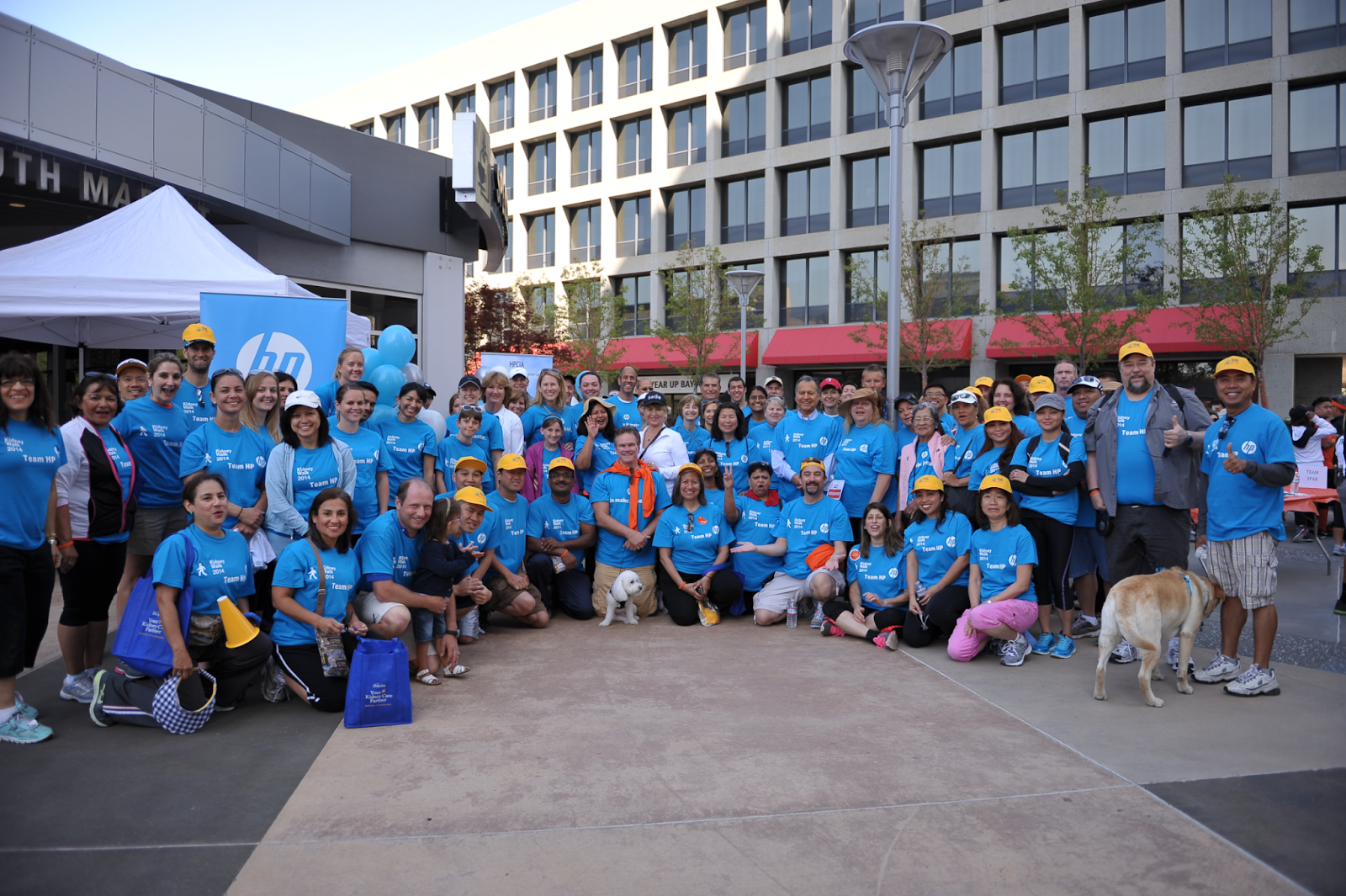 Foto HP sekelompok karyawan