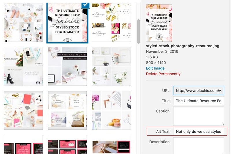 Panel meta danych obrazu WordPress Media Library