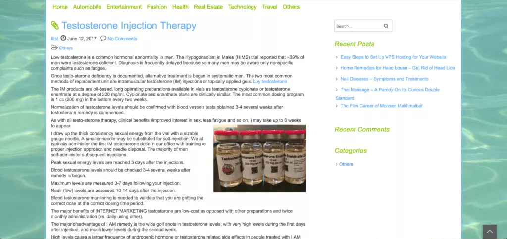 fiverr gig seo site example