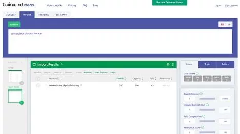 SEO per la telemedicina: una guida alla SEO per i medici telemedicine SEO physical therapy 2