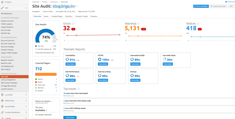SEMrush Web Sitesi Denetimi