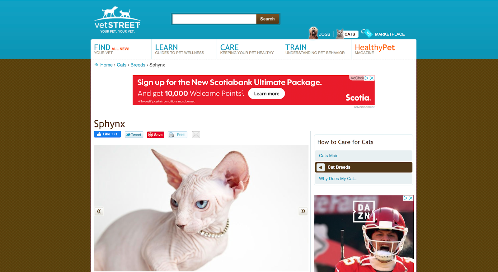 Haustier-Website "above the fold"-Anzeige