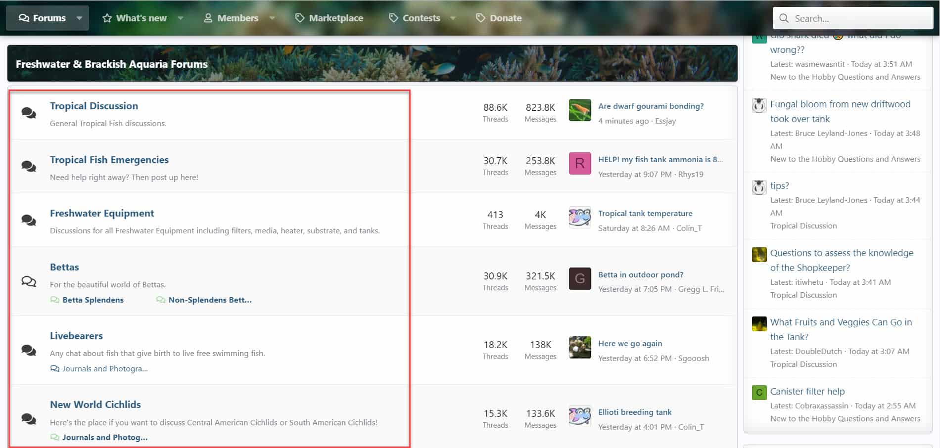ディスカッション掲示板のカテゴリ