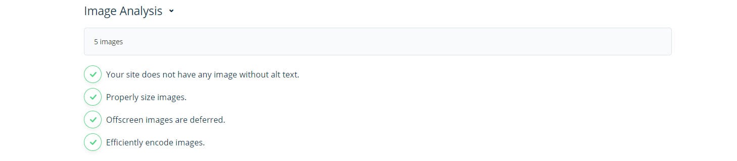 サイト監査人の画像分析