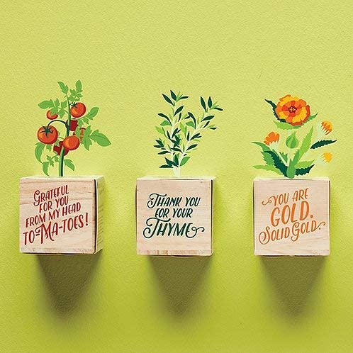 Desktop-Pflanzenkundengeschenk