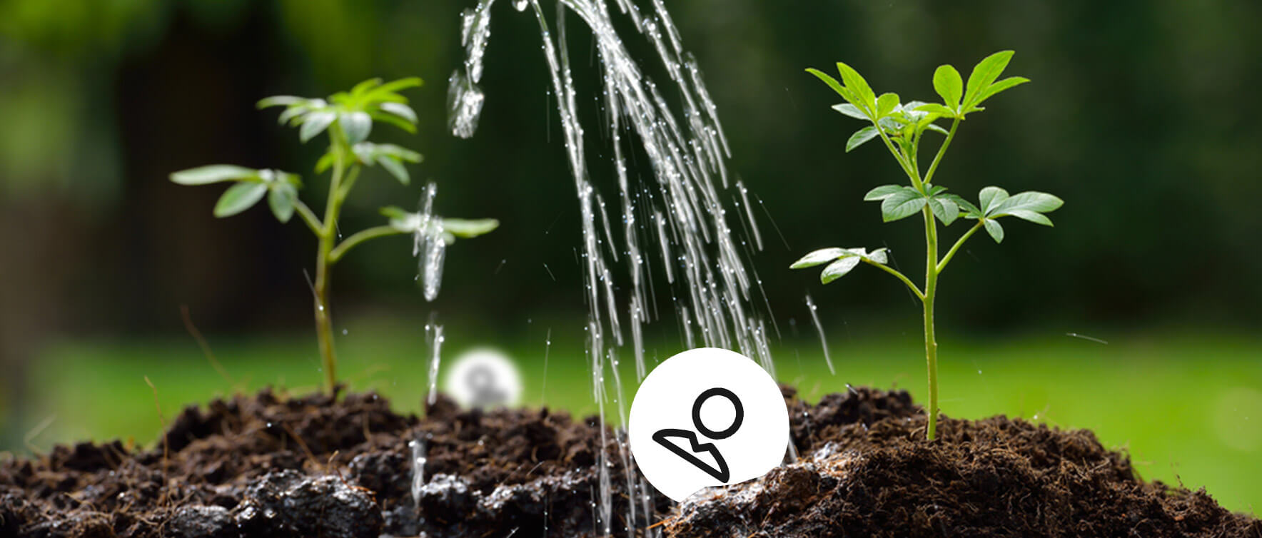 Prospección: nutre a tus clientes potenciales