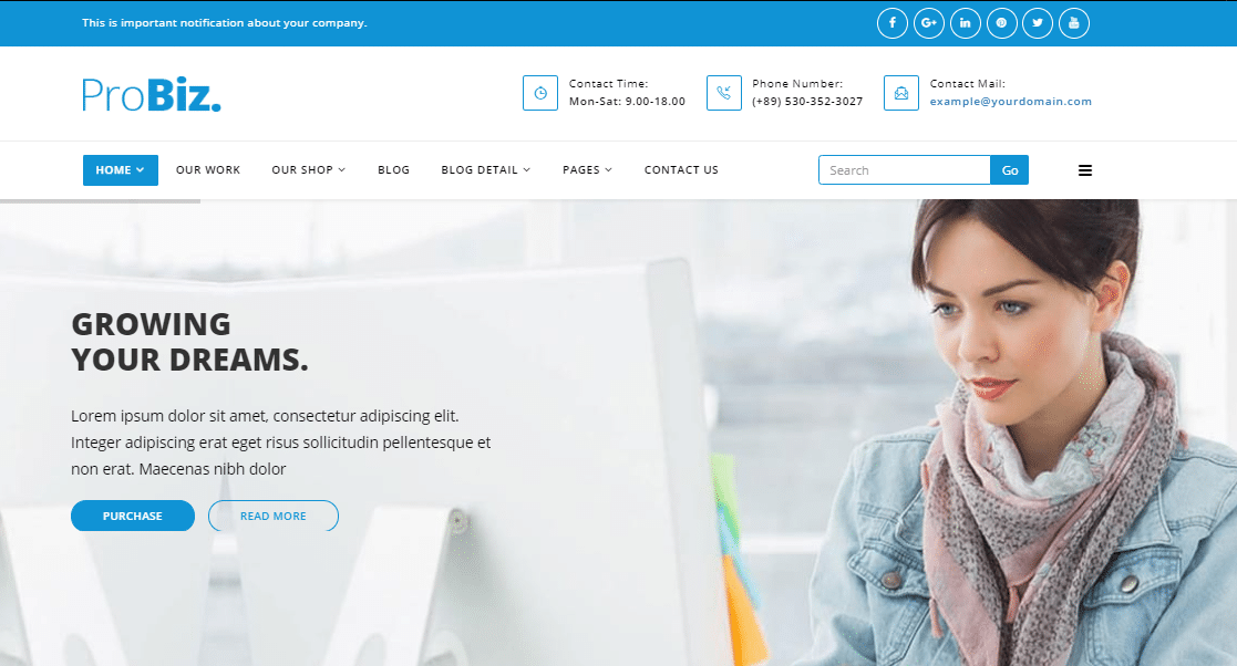 Тема WordPress для малого бизнеса ProBiz