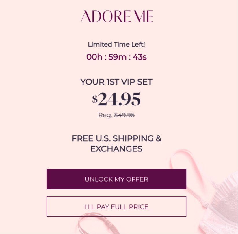 Adore Me-Popup-Beispiel