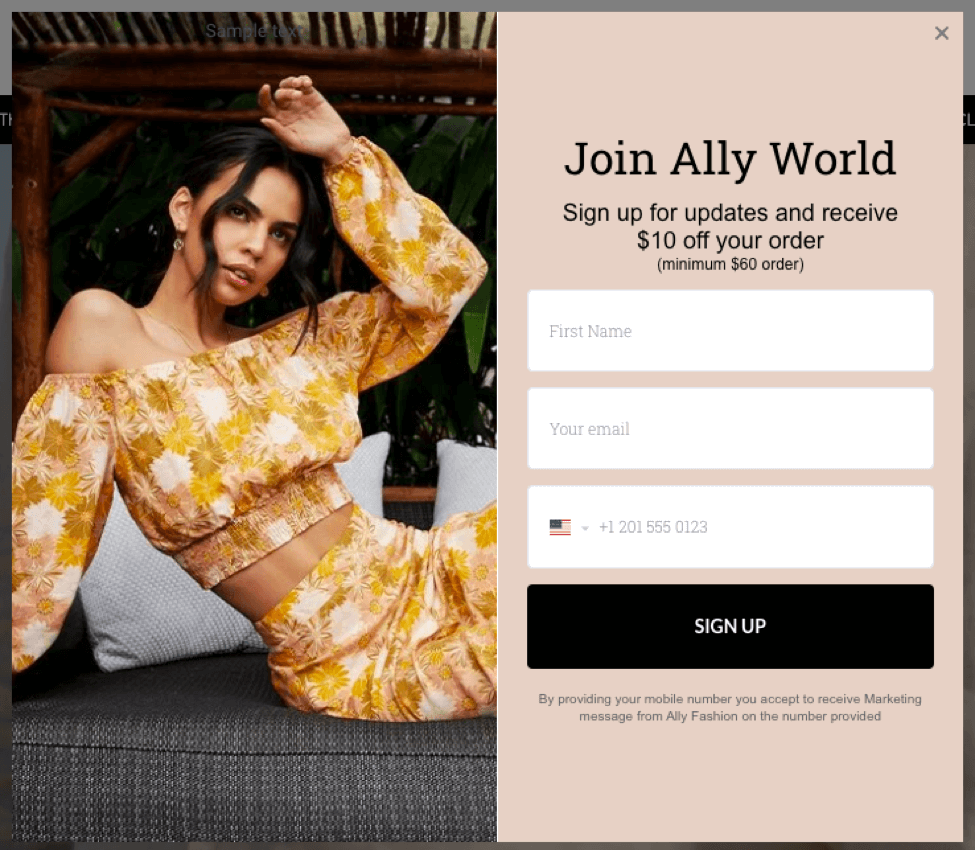 アリーワールドポップアップの例