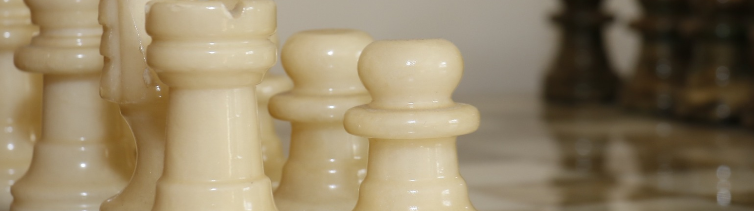 Gayrimenkul Pazarlama Hunisi