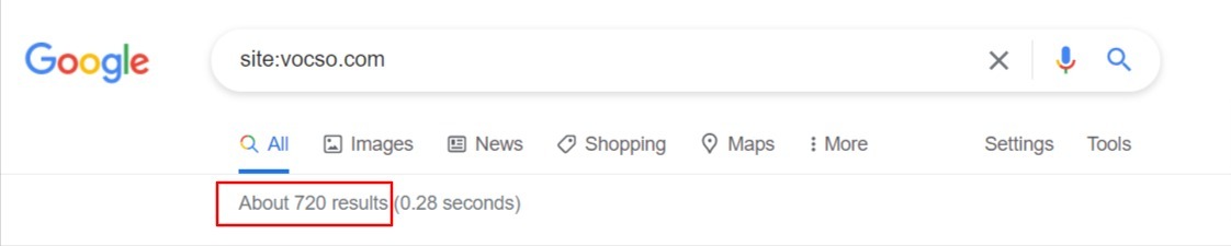 执行 Google 网站搜索