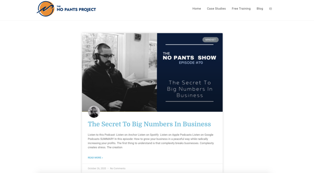 bloguri independente - proiectul no pants