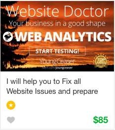 Fiverr Web Analytics Gig