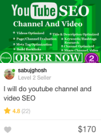 Fiverr 視頻 seo gig