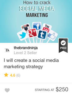 Strategia di marketing sui social media Fiverr Gig