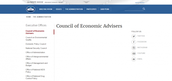 理事会经济顾问