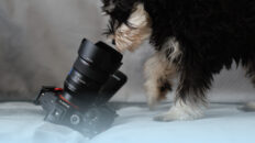 Le 12 migliori videocamere per lo streaming live nel 2021 per tutti i budget