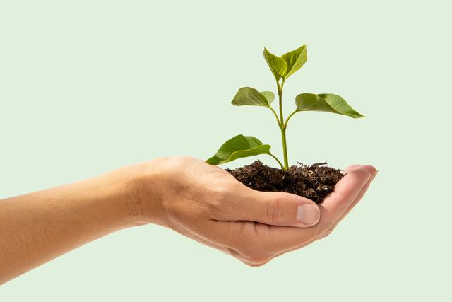 Definitive guide to gift giving. Giving a plant.