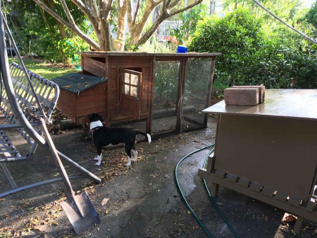 hühnerstall-komplett-e1479298972645-1024x768