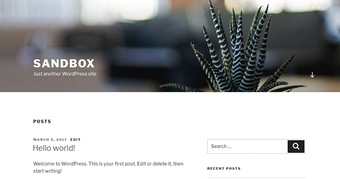 Screenshot der WordPress-Theme-Website von Twentyseventeen in einer Sandbox-Umgebung