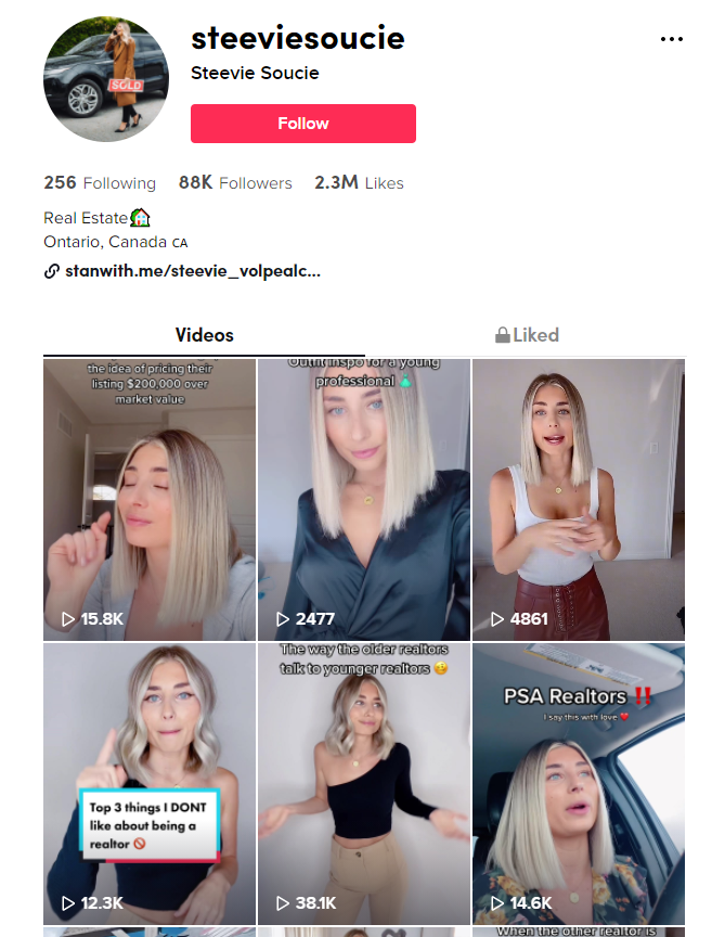 тикток для агента по недвижимости - Стиви Суси
