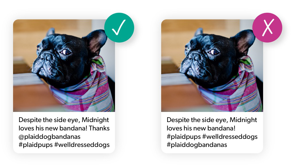 L'API Instagram Graph met à jour ce que les spécialistes du marketing doivent savoir