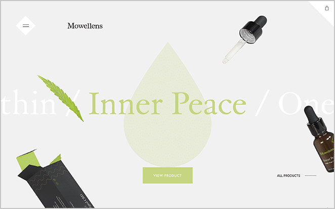 Скриншот веб-сайта mowellens Пример веб-сайта электронной коммерции WordPress