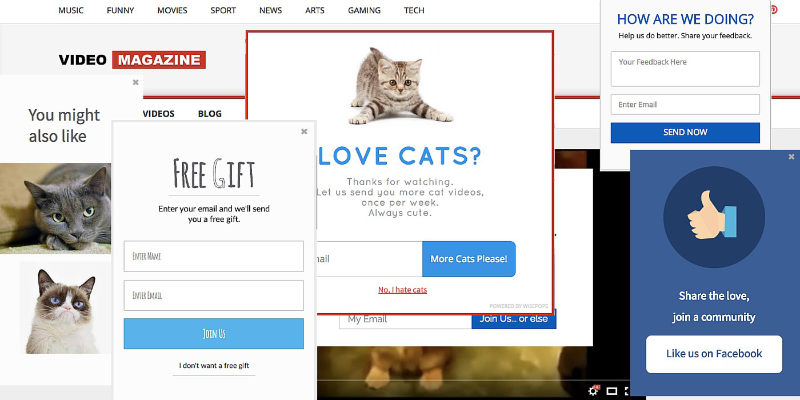 un exemple de trop de formulaires opt-in sur un site Web