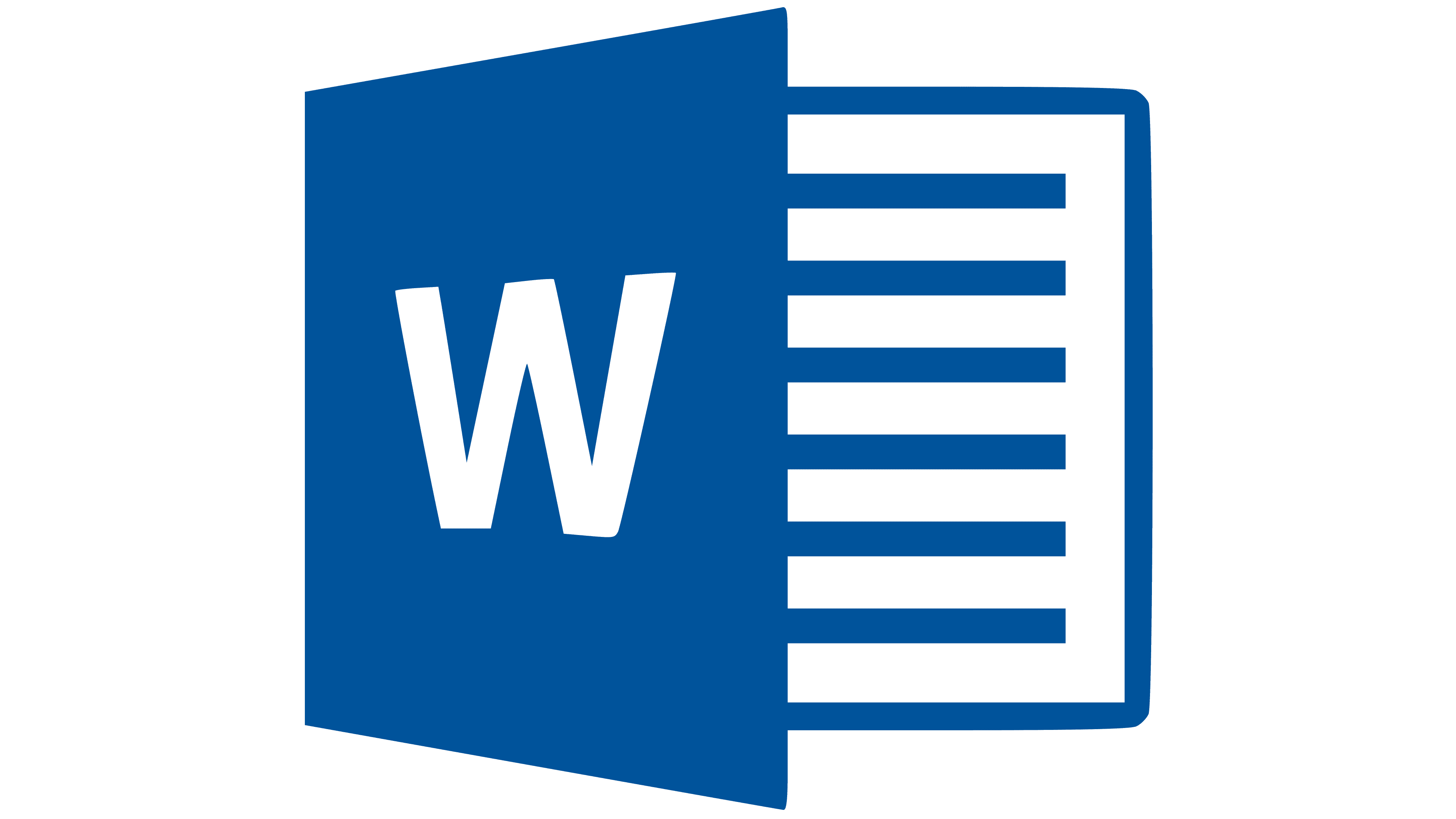 Microsoft Word