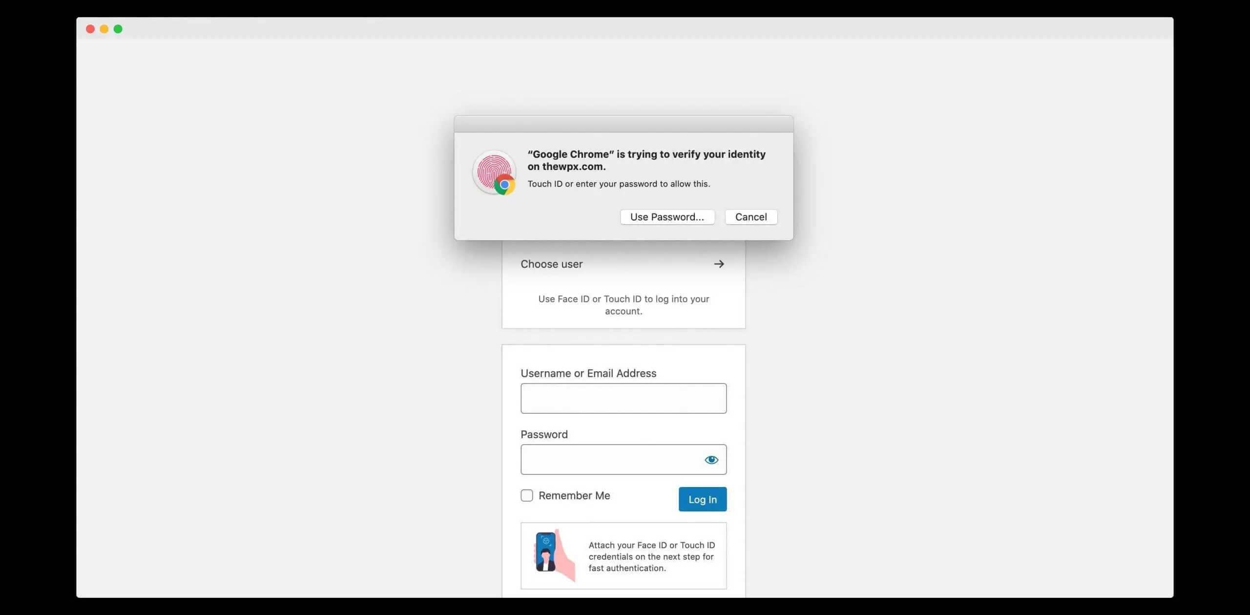 passwordless authentication, passwordless login