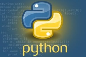 el símbolo real del lenguaje de programación Python delante de las líneas de código