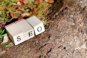 un diagramma che mostra com'è la SEO organica per ritrarre la sua importanza quando viene utilizzata da un'agenzia di marketing assicurativo