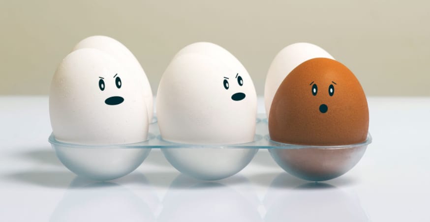 ความแตกต่างระหว่าง viddyoze กับ filmora