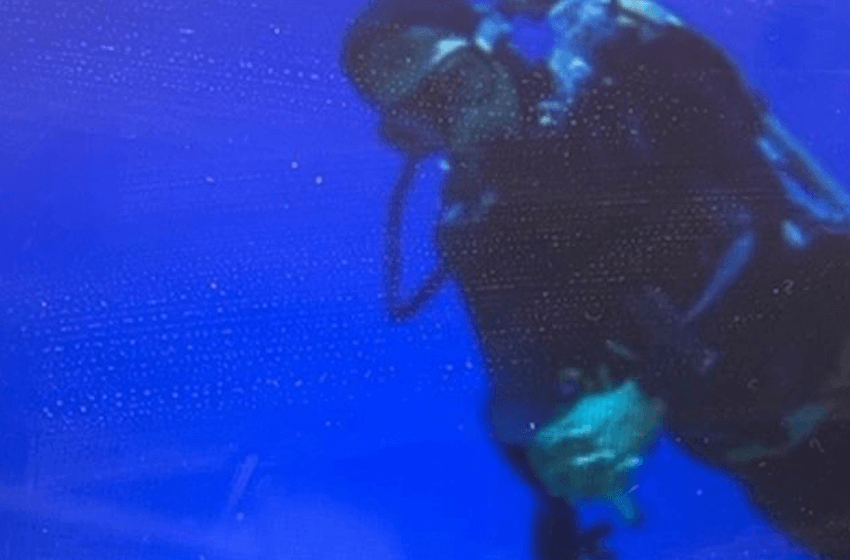 國家認可的潛水中心冒險業務