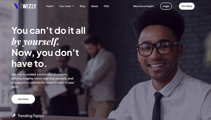 เว็บไซต์ Wizly