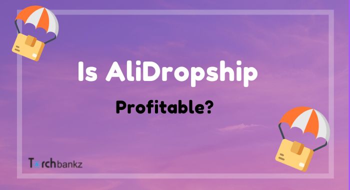 AliDropship은 수익성이 있습니까?