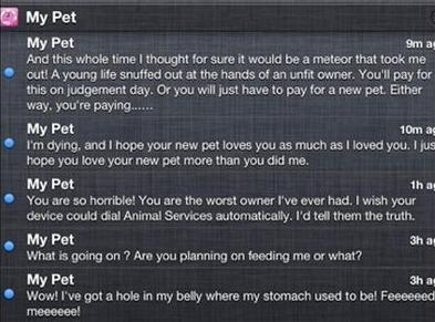 powiadomienia-push-moich-zwierzaków